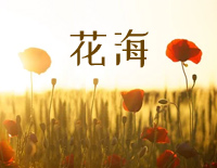 花海-原調簡単版-周杰倫